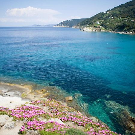 SantʼAndrea Hotel Gallo Nero מראה חיצוני תמונה