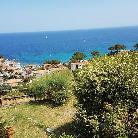 SantʼAndrea Hotel Gallo Nero מראה חיצוני תמונה