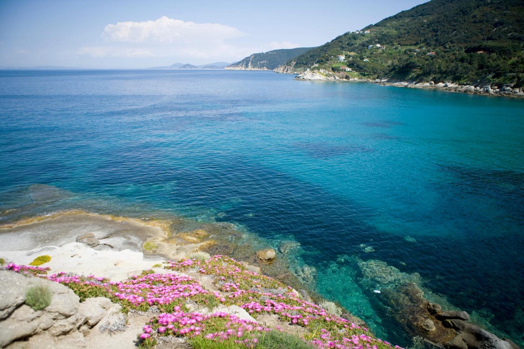 SantʼAndrea Hotel Gallo Nero מראה חיצוני תמונה