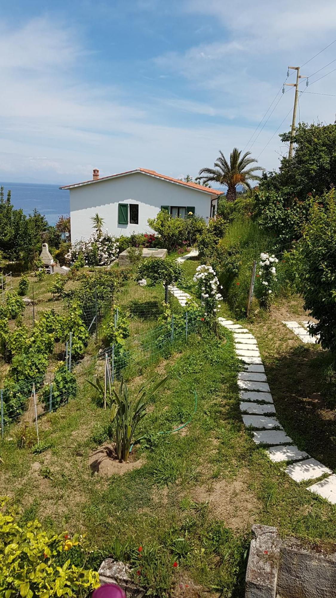 SantʼAndrea Hotel Gallo Nero מראה חיצוני תמונה